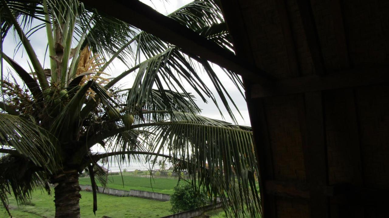 Dikaloha Surfschool And Stay Airsatang Buitenkant foto