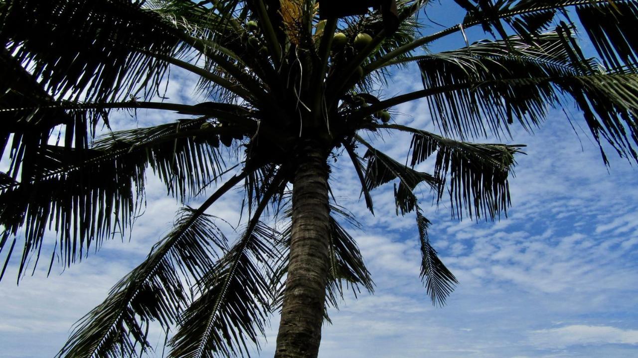 Dikaloha Surfschool And Stay Airsatang Buitenkant foto