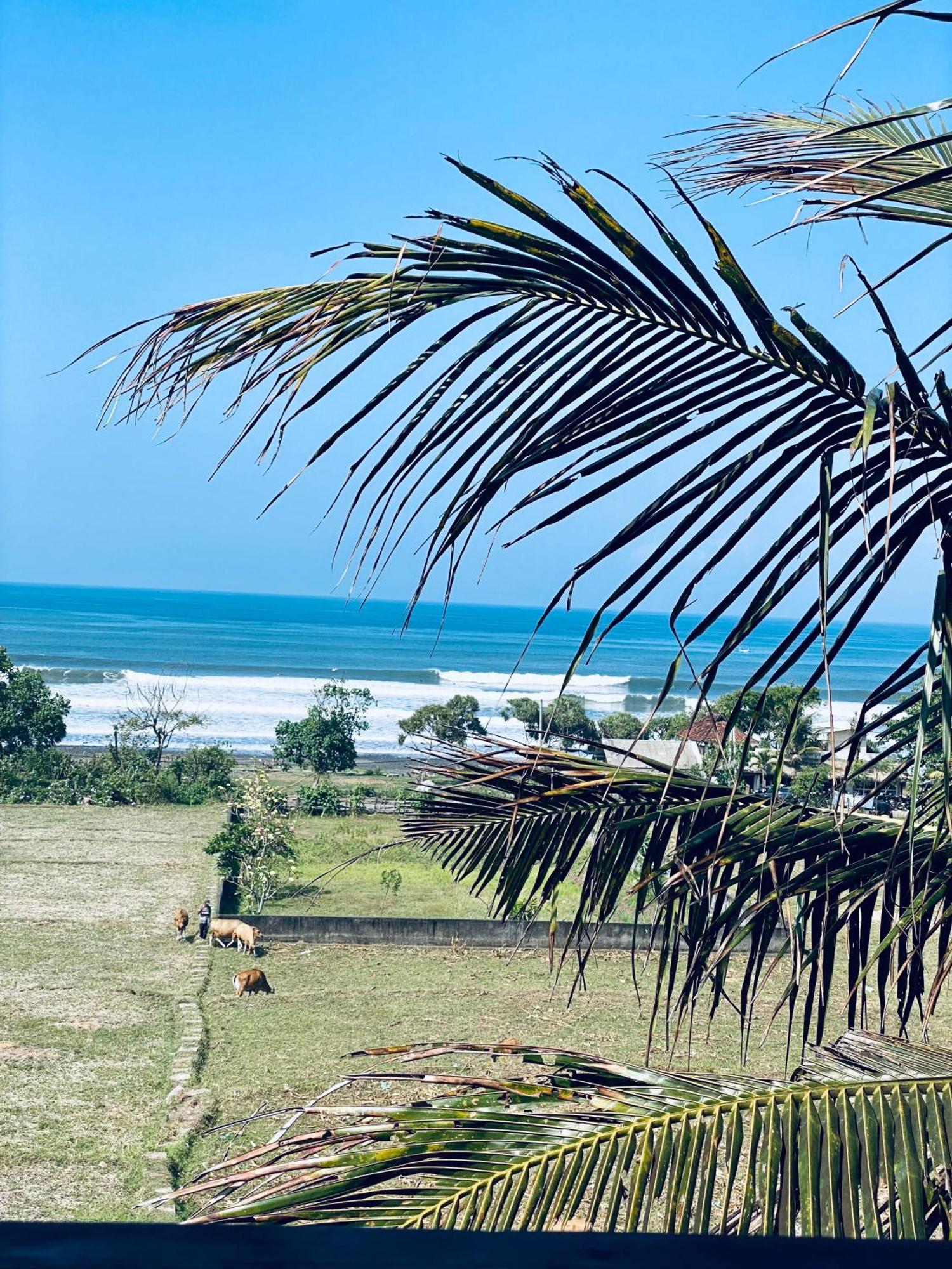 Dikaloha Surfschool And Stay Airsatang Buitenkant foto
